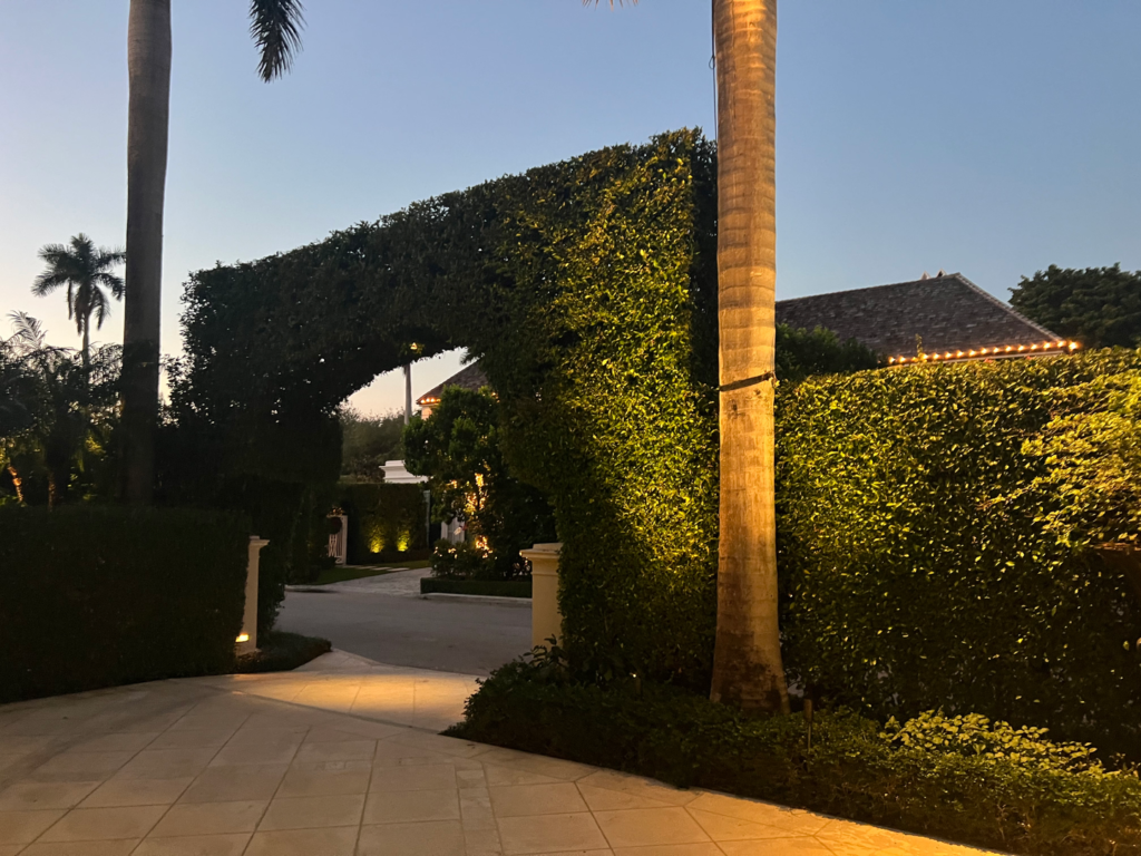 Evening view of a well-lit driveway entrance with neatly trimmed hedges and tall palm trees, creating an inviting ambiance